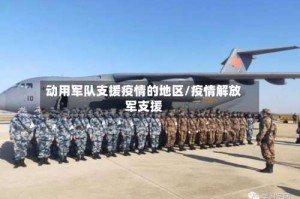 动用军队支援疫情的地区/疫情解放军支援