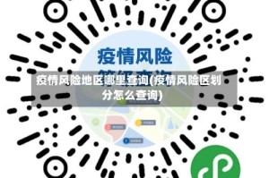 疫情风险地区哪里查询(疫情风险区划分怎么查询)