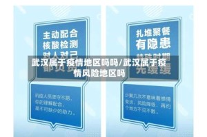 武汉属于疫情地区吗吗/武汉属于疫情风险地区吗