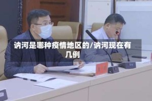 讷河是哪种疫情地区的/讷河现在有几例