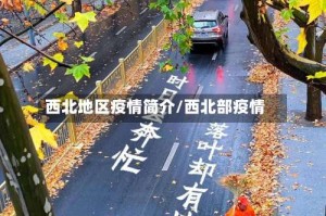 西北地区疫情简介/西北部疫情