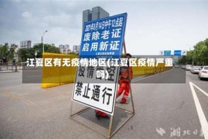 江夏区有无疫情地区(江夏区疫情严重吗)