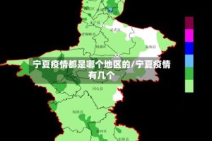 宁夏疫情都是哪个地区的/宁夏疫情有几个