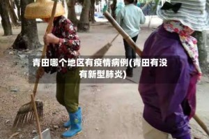 青田哪个地区有疫情病例(青田有没有新型肺炎)