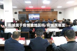 桐城属于疫情重地区吗/桐城属哪里