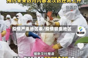 疫情严重地区表/疫情较重地区