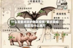 什么是重点防护地区疫情/重点防疫地区指什么地方