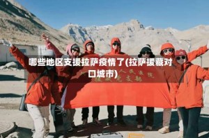 哪些地区支援拉萨疫情了(拉萨援藏对口城市)