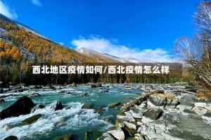 西北地区疫情如何/西北疫情怎么样