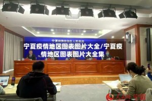 宁夏疫情地区图表图片大全/宁夏疫情地区图表图片大全集