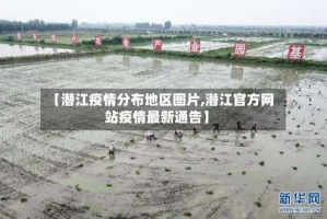 【潜江疫情分布地区图片,潜江官方网站疫情最新通告】