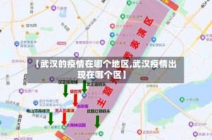 【武汉的疫情在哪个地区,武汉疫情出现在哪个区】