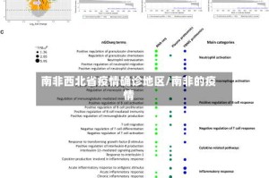 南非西北省疫情确诊地区/南非的疫情