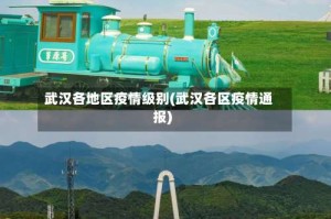 武汉各地区疫情级别(武汉各区疫情通报)