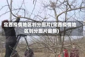 定西疫情地区划分图片(定西疫情地区划分图片最新)