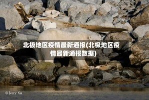 北极地区疫情最新通报(北极地区疫情最新通报数据)