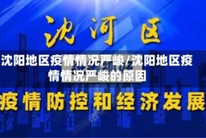 沈阳地区疫情情况严峻/沈阳地区疫情情况严峻的原因