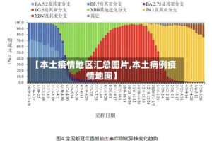 【本土疫情地区汇总图片,本土病例疫情地图】
