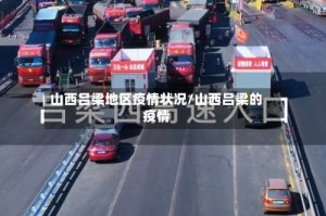 山西吕梁地区疫情状况/山西吕梁的疫情