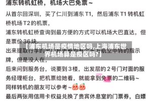 【浦东机场是疫情地区吗,上海浦东世界机场算是疫区吗?】