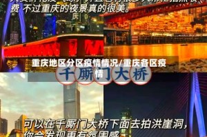 重庆地区分区疫情情况/重庆各区疫情