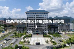 靖西市疫情地区分布(靖西县疫情)