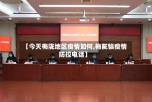 【今天梅陇地区疫情如何,梅陇镇疫情防控电话】