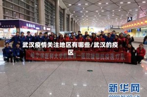 武汉疫情关注地区有哪些/武汉的疫区