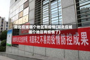 湖北应城哪个地区有疫情(湖北应城哪个地区有疫情了)