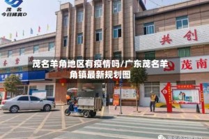 茂名羊角地区有疫情吗/广东茂名羊角镇最新规划图