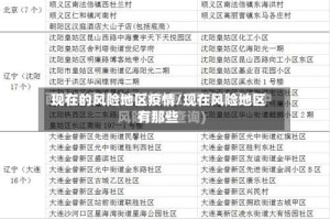 现在的风险地区疫情/现在风险地区有那些