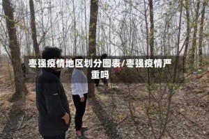 枣强疫情地区划分图表/枣强疫情严重吗