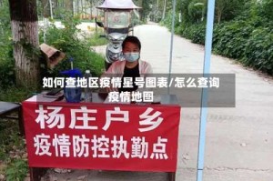 如何查地区疫情星号图表/怎么查询疫情地图