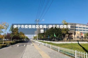 伊宁市疫情地区查询/伊宁市疫情报告