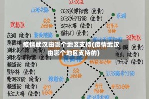 疫情武汉由哪个地区支持(疫情武汉由哪个地区支持的)