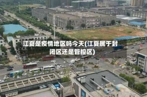 江夏是疫情地区吗今天(江夏属于封闭区还是管控区)