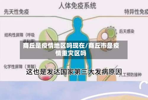 商丘是疫情地区吗现在/商丘市是疫情重灾区吗-第1张图片
