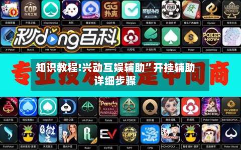知识教程!兴动互娱辅助	”开挂辅助详细步骤-第3张图片