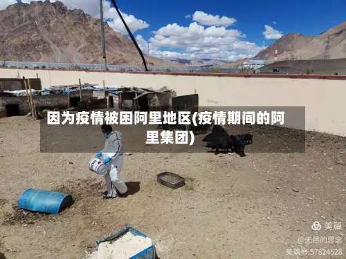 因为疫情被困阿里地区(疫情期间的阿里集团)-第1张图片