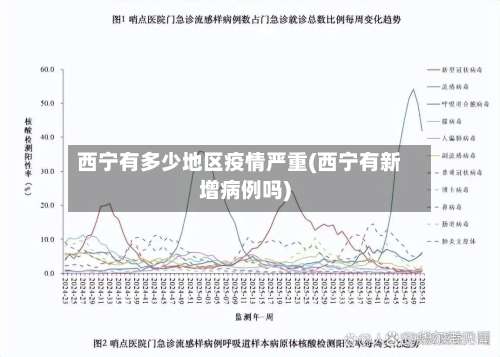 西宁有多少地区疫情严重(西宁有新增病例吗)-第1张图片