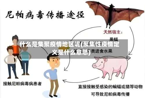 什么是集聚疫情地区呢(聚集性疫情定义是什么意思)-第2张图片