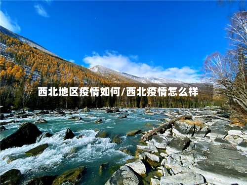 西北地区疫情如何/西北疫情怎么样-第1张图片