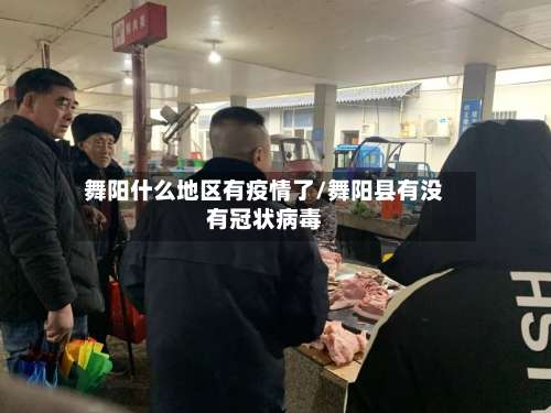 舞阳什么地区有疫情了/舞阳县有没有冠状病毒-第2张图片