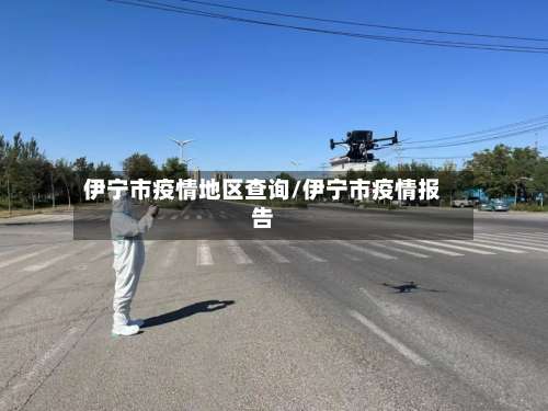 伊宁市疫情地区查询/伊宁市疫情报告-第3张图片