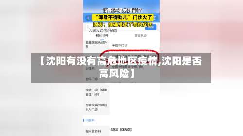 【沈阳有没有高危地区疫情,沈阳是否高风险】-第2张图片