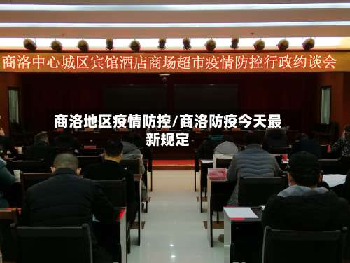 商洛地区疫情防控/商洛防疫今天最新规定-第2张图片
