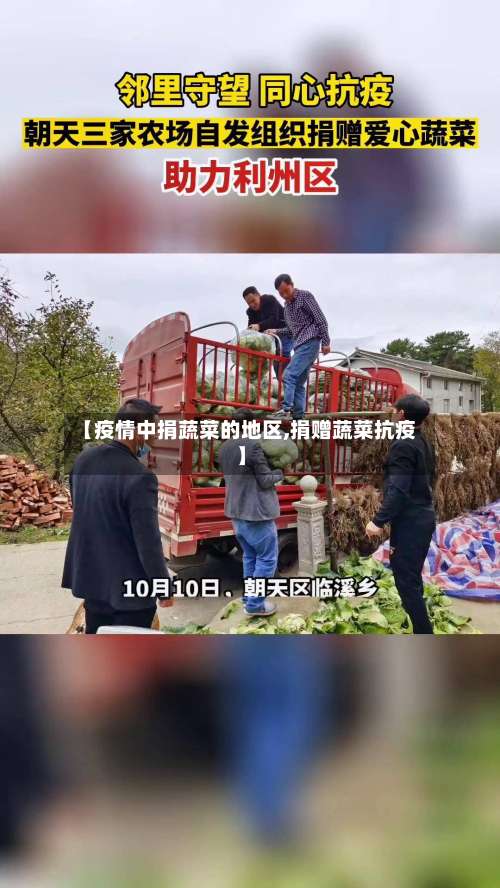 【疫情中捐蔬菜的地区,捐赠蔬菜抗疫】-第3张图片