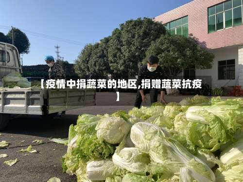 【疫情中捐蔬菜的地区,捐赠蔬菜抗疫】-第1张图片