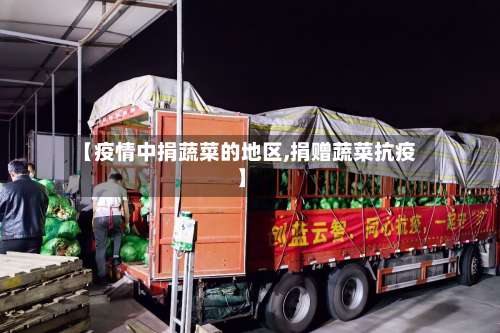 【疫情中捐蔬菜的地区,捐赠蔬菜抗疫】-第2张图片