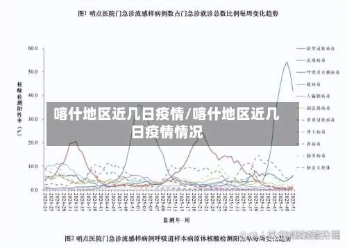 喀什地区近几日疫情/喀什地区近几日疫情情况-第2张图片